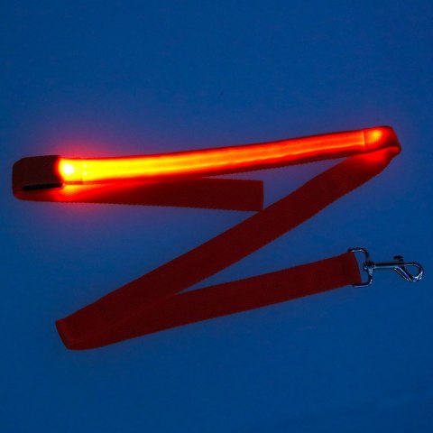 Smycz dla psa świecąca LED 2,5x120cm pomarańczowa Smycz dla psa świecąca LED 2,5x120cm pomarańczowa